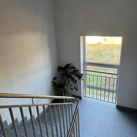 Apartament Arturowek Las